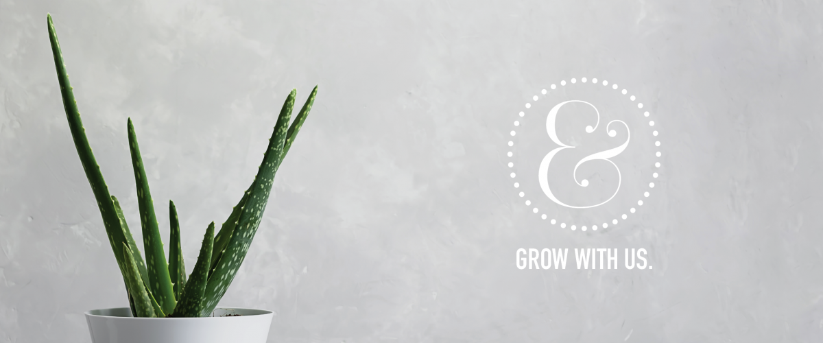 A white ampersand sits above text that reads "grow with us." A green potted aloe plant is to the left of the text. The background is grey.