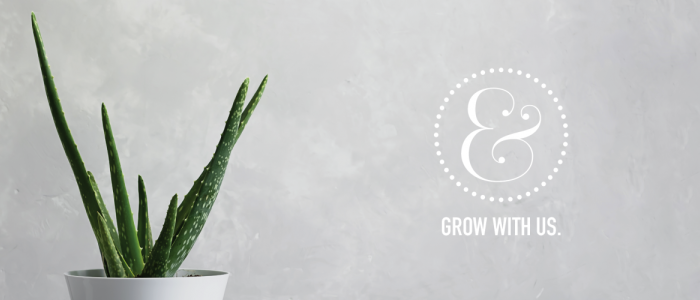 A white ampersand sits above text that reads "grow with us." A green potted aloe plant is to the left of the text. The background is grey.